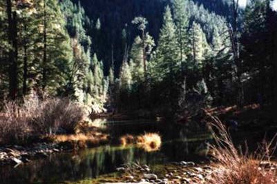 Chevlon Creek Picture